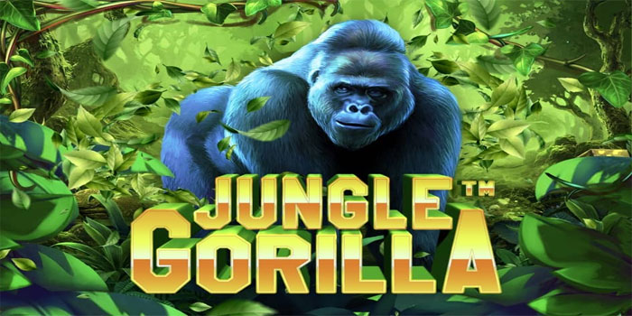 Pola Menang Tanpa Buy Spin di Slot Jungle Gorilla